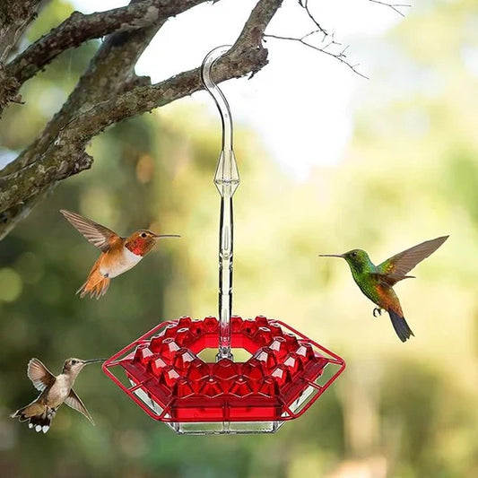 Ant Proof Hummingbird Feeder Outdoor Hanging Perch