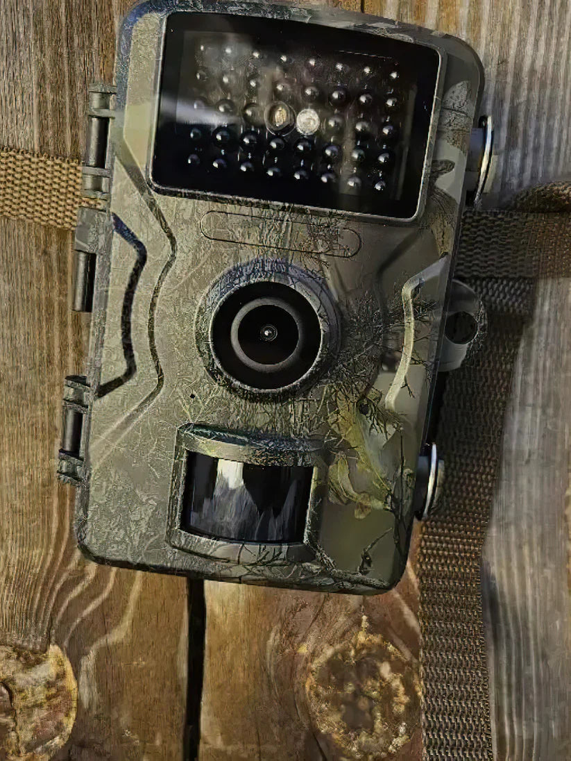 Trail Camera with Infrared Night Vision for Outdoor Wildlife Observation