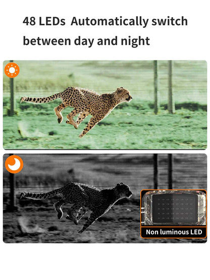 Trail Camera with Infrared Night Vision for Outdoor Wildlife Observation