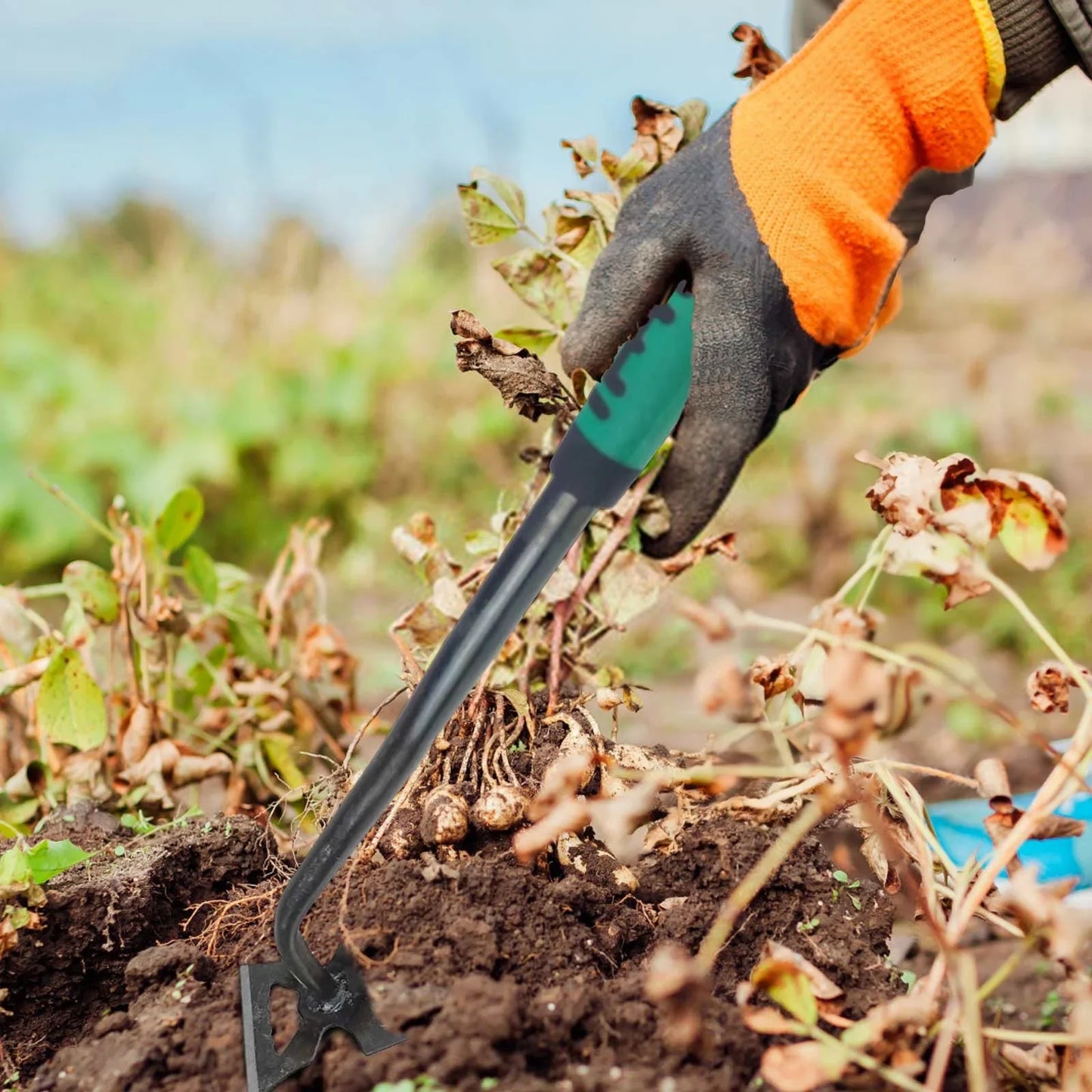 Weed Removal Tool with Ergonomic Heavy Duty Garden Puller Design
