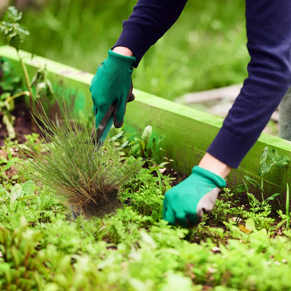 Weed Removal Tool with Ergonomic Heavy Duty Garden Puller Design