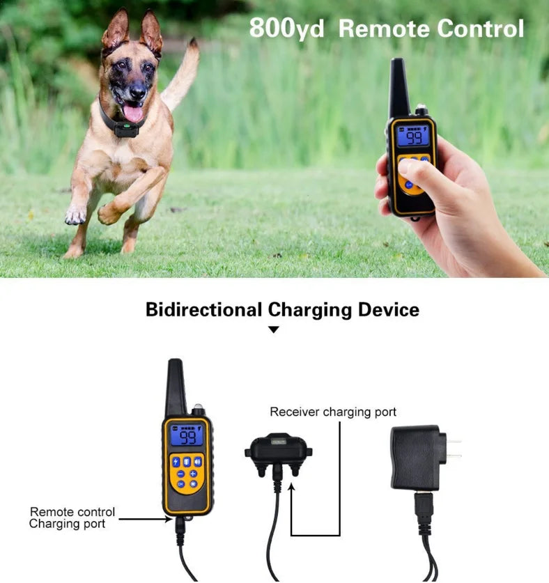 Dazzle Dog Training Collar – Waterproof Shock Collar for Dogs with Remote Control for Effective Bark Training