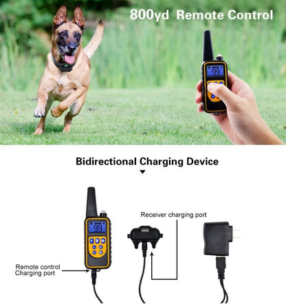 Dazzle Dog Training Collar – Waterproof Shock Collar for Dogs with Remote Control for Effective Bark Training