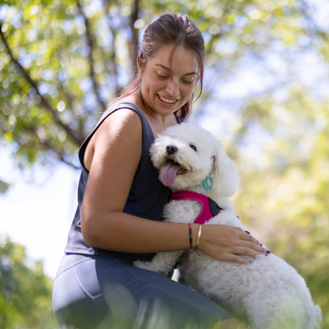 Dogs Hard Floor Single Seat