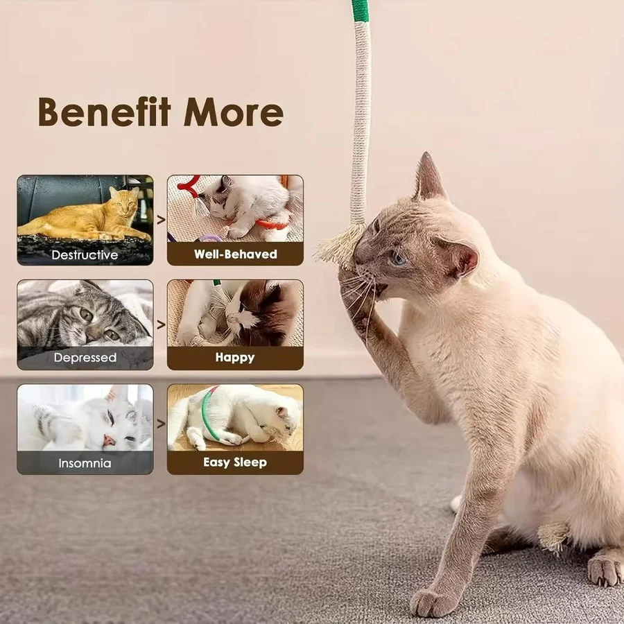 Cat Chew Toys for Playful Kittens
