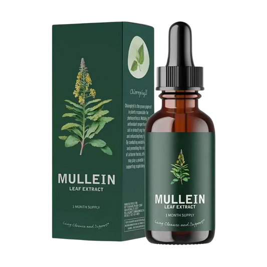 Gluten Free Mullein For Lung Health