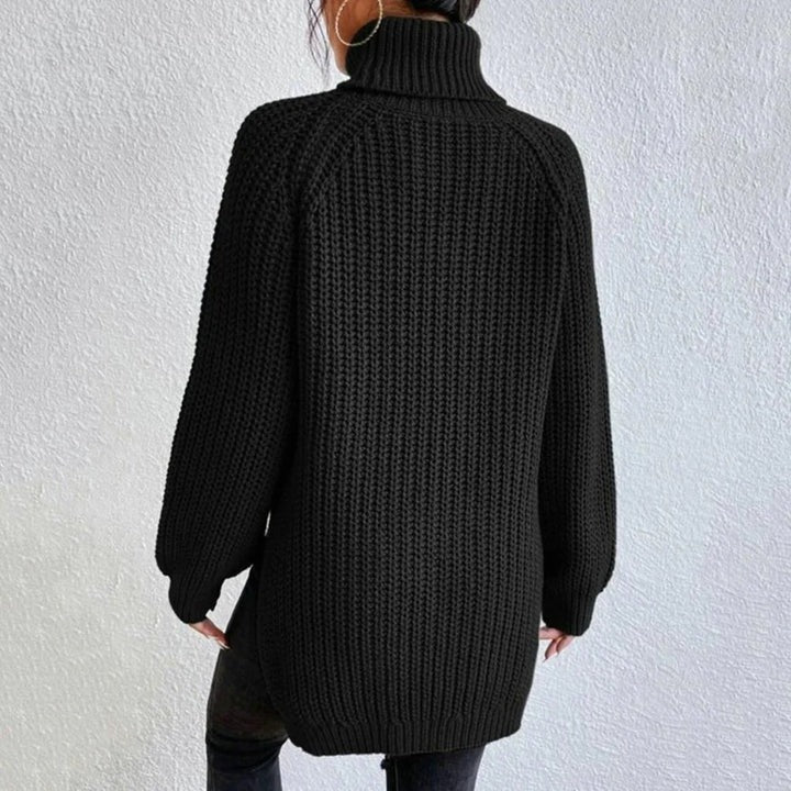 Turtleneck Sweater For Women