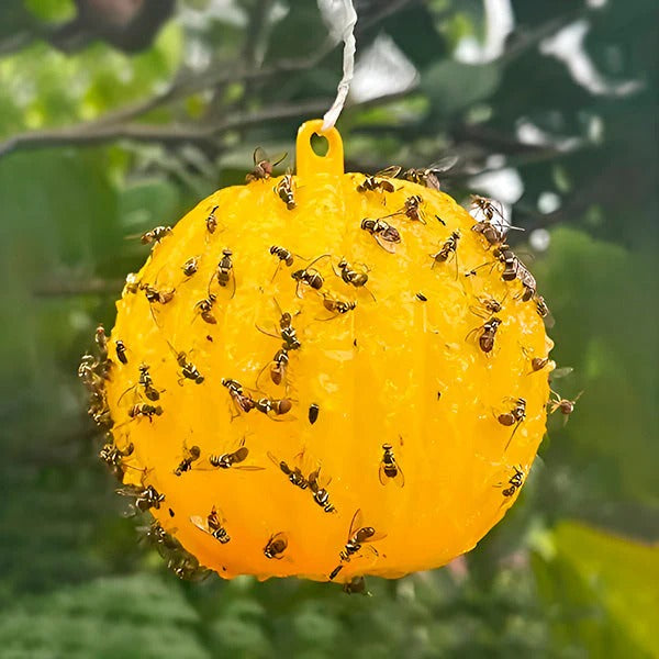 Hanging Fly Trap with Adhesive Layer (6 Pcs)