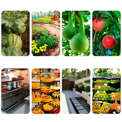 Hanging Fly Trap with Adhesive Layer (6 Pcs)