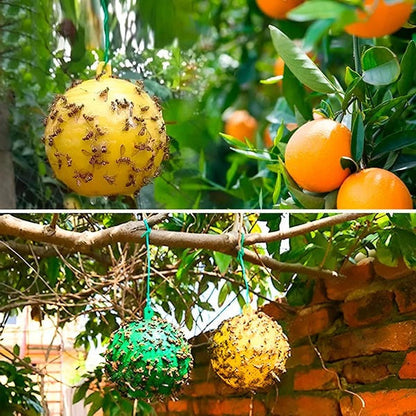 Hanging Fly Trap with Adhesive Layer (6 Pcs)