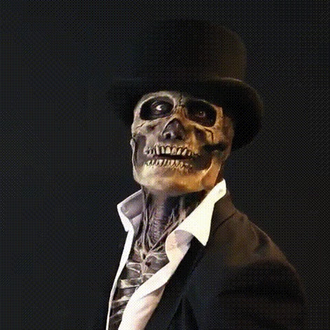 Skull Mask Halloween Costume